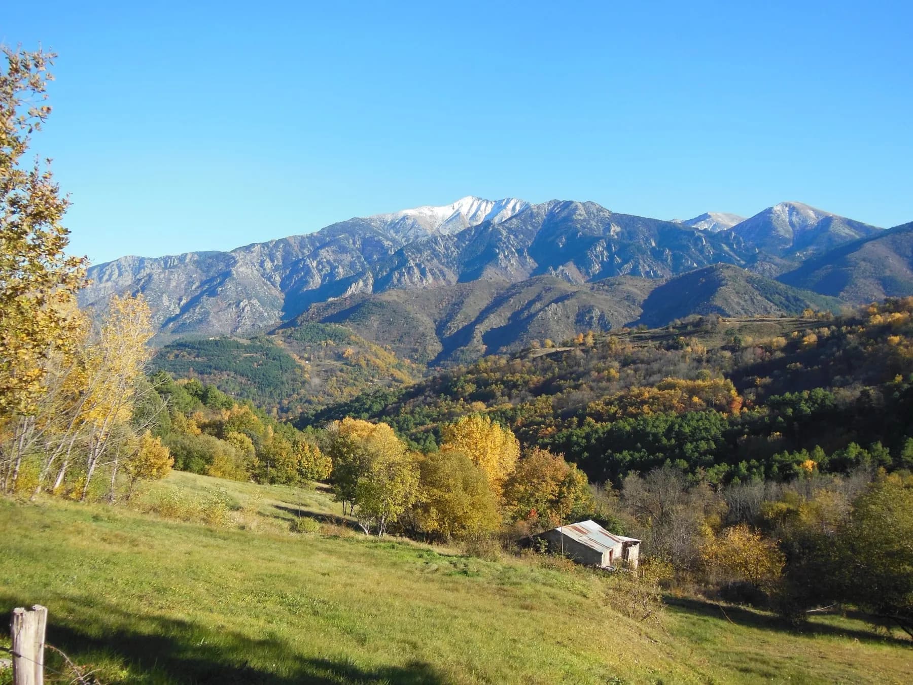 Le massif du Canigou enneigé au-dessus de prairies et de forêts aux couleurs d'automne